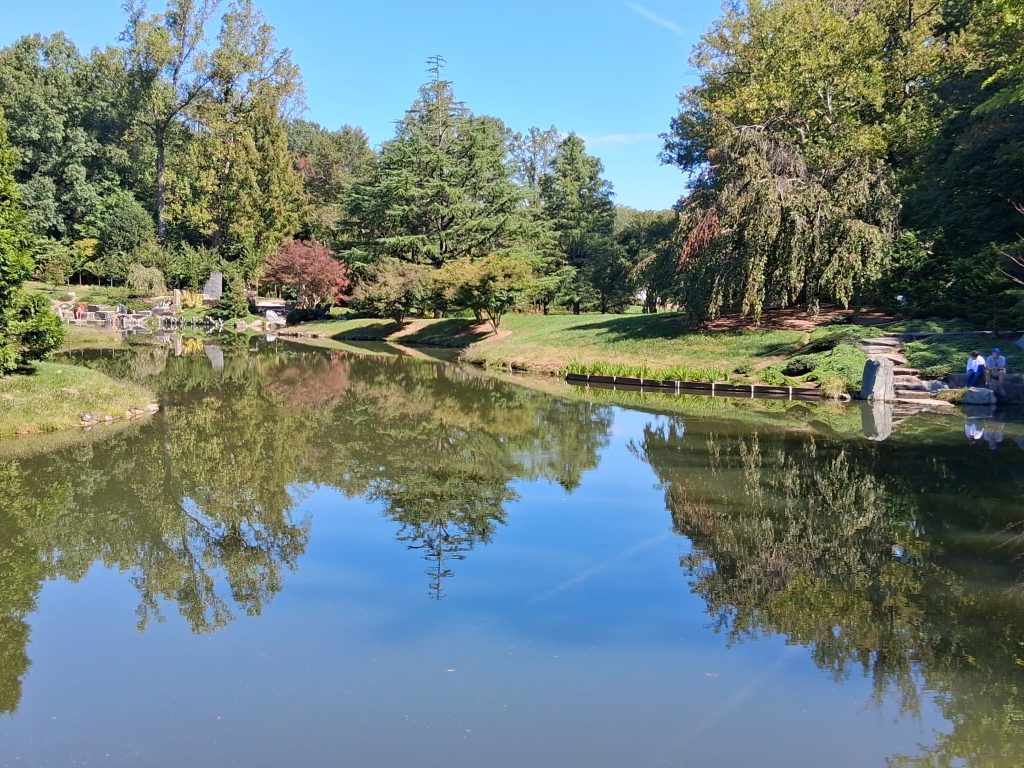 Trees and blue sky reflected in a calm pond beside grassy banks and a garden path at Brookside Gardens.